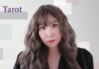 타로의 모든 지…